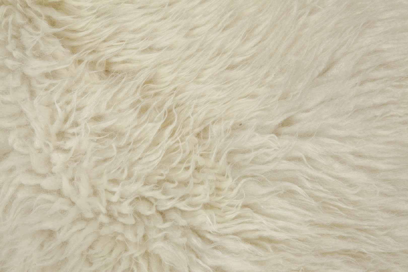 Natuurlijk witte schapenvacht 90-100 cm